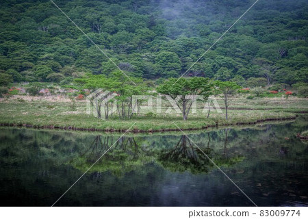 赤城山角滿淵的風景 赤城山角滿淵的風景 83009774