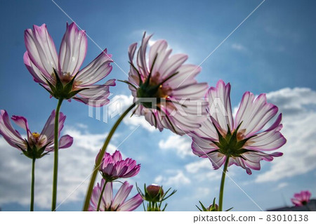 明石海峽公園的宇宙領域 83010138