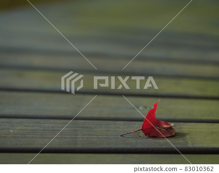 Autumn park bench that feels lonely Autumn park bench that feels lonely 83010362