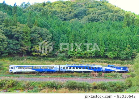 [Shimane Prefecture] Okuizumo Orochi 83010642