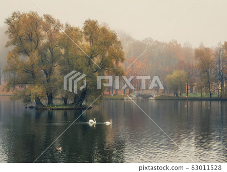 Mystical morning autumn landscape with fog over the lake. Foggy autumn landscape with State Museum Reserve Gatchina. Mystical morning autumn landscape with fog over the lake. Foggy autumn landscape with State Museum Reserve Gatchina. 83011528