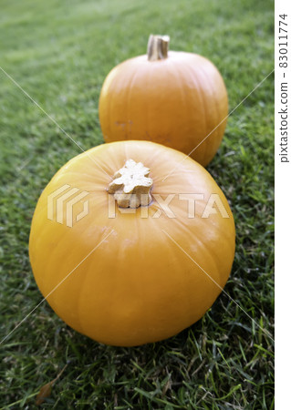 Halloween pumpkins Halloween pumpkins 83011774