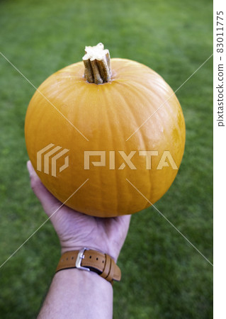 Halloween pumpkins Halloween pumpkins 83011775