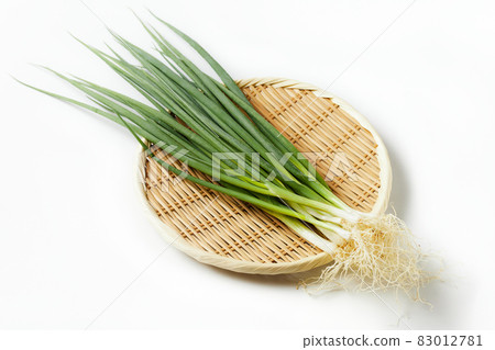 在竹濾器白色背景白色背景的福岡縣小洋蔥 在竹濾器白色背景白色背景的福岡縣小洋蔥 83012781