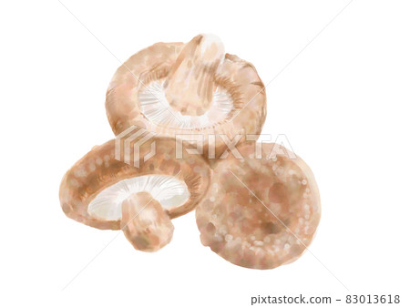 3 shiitake mushrooms 3 shiitake mushrooms 83013618