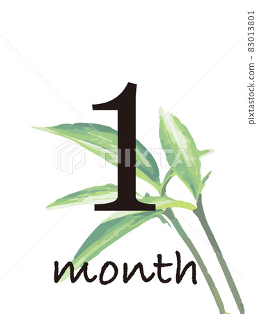 植物月卡1個月 植物月卡1個月 83013801