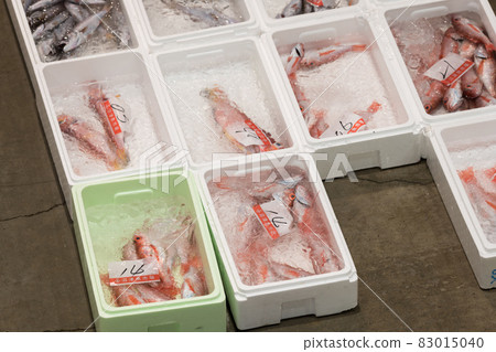 [Fish Market Akamut] 83015040