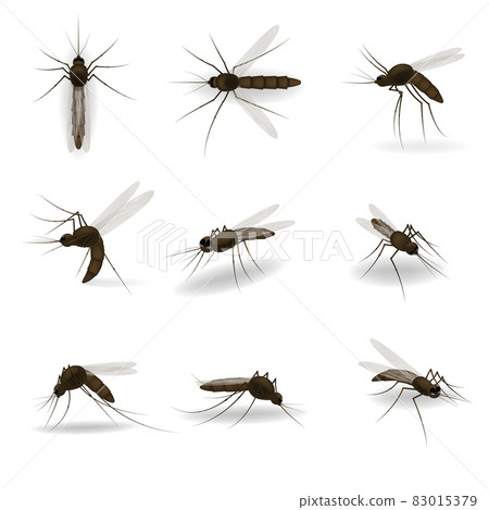Realistic mosquito. Blood sucking insects, peddler of dengue, zika virus and malaria vector isolated mosquitoes set for repellent spray ad. A Massive Mosquito Problem. 83015379