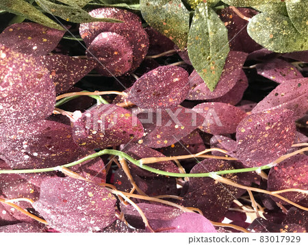 Fall background of red maple leaves from a top view Fall background of red maple leaves from a top view 83017929