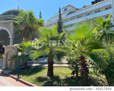 View of a beautiful ancient mosque in the Arabian style, a temple for prayers of Muslims in a tropical warm country with palm trees 83017939