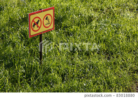 yellow sign with chemical application no dogs on green lawn background - close-up with selective focus 83018880