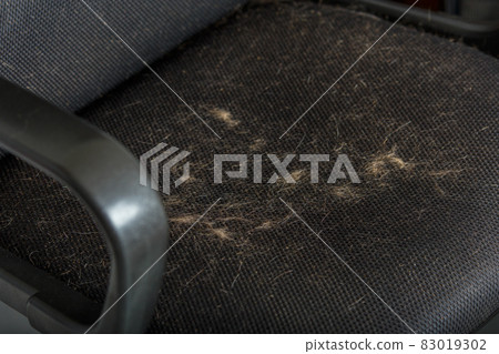 cat hair polluted black air mesh office chair sufface - closeup view 83019302