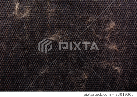 cat hair polluted black air mesh office chair sufface - closeup full frame view 83019303