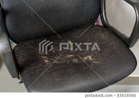 cat hair polluted black air mesh office chair sufface - closeup view 83019308