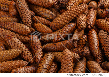 pile of fir cones - full frame close-up spruce background pile of fir cones - full frame close-up spruce background 83019690