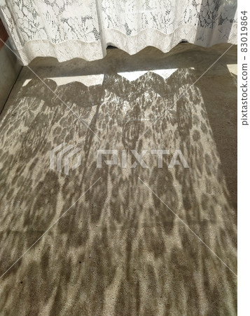 蕾絲窗簾的影子 蕾絲窗簾的影子 83019864