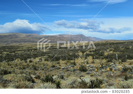 Argentine Pampas 83020285