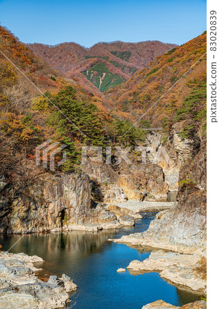 [櫪木縣]紅葉季節的琉球 83020839