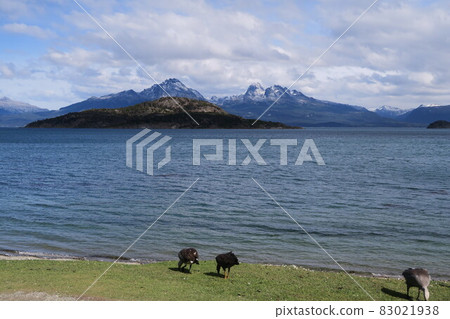 Tierra del Fuego National Park Tierra del Fuego National Park 83021938