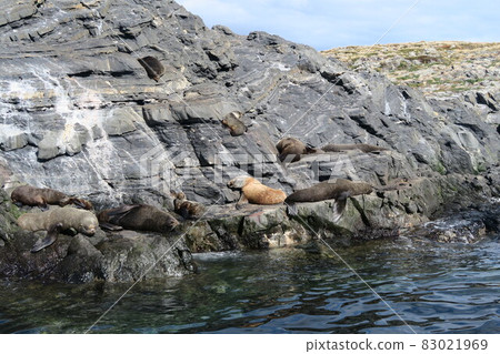 比格爾渡槽遊輪 比格爾渡槽遊輪 83021969