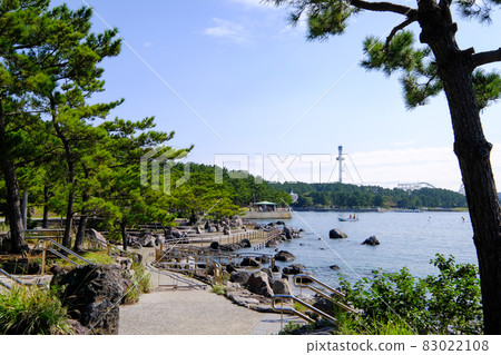 Marine Park in Kanazawa Ward, Yokohama City, Kanagawa Prefecture 83022108