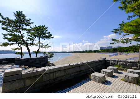 神奈川縣橫濱市金澤區海洋公園 83022121