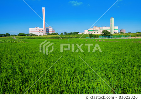 Arakawa Riverbed, near Horai Sports Park, Paddy Field Environmental Center, Midsummer Scenery 83022326