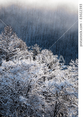 Snow scene Snow scene 83022393