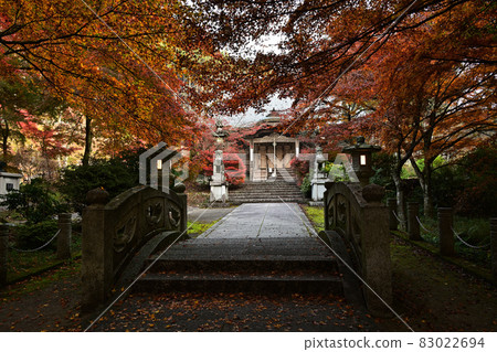 Autumn leaves of Takayama-ji 83022694