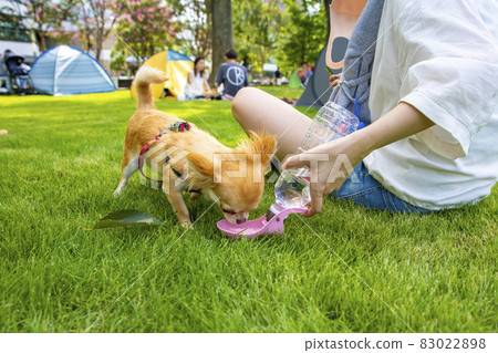 狗飲用水/寵物水壺 83022898