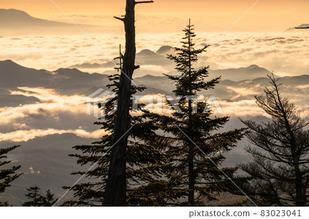 《Gunma Prefecture》 Tenku no Mori, Shibutoge in the early morning 83023041