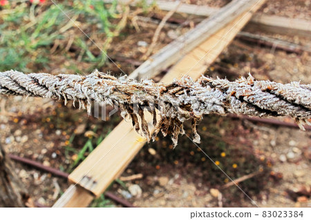 Almost torn apart aged dirty white rope, barely holding on on blurred construction background Almost torn apart aged dirty white rope, barely holding on on blurred construction background 83023384