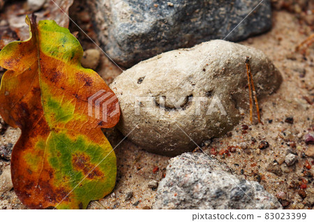 Smiley face stone lying on sandy road near fallen autumn oak leaf 83023399