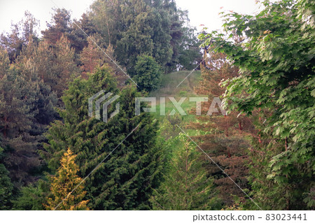 Green and yellow autumn forest on hill with meadow 83023441