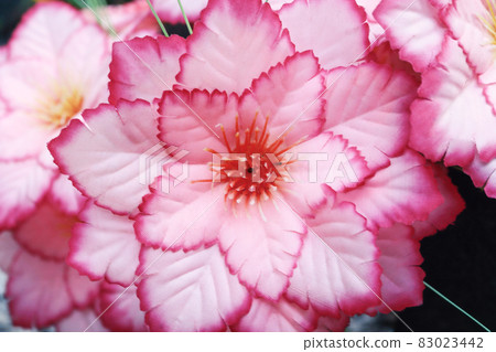 Artificial pink and white flower with layered petals Artificial pink and white flower with layered petals 83023442