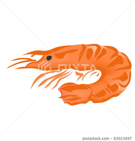 Shrimp (New Year dishes illustration) Shrimp (New Year dishes illustration) 83023897