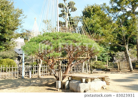 池上梅園的田御所 池上梅園的田御所 83023931