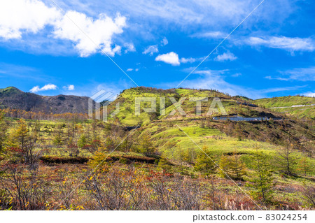 《群馬縣》草津白根山原野景色/滋賀草津路 83024254
