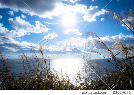 海 83024636