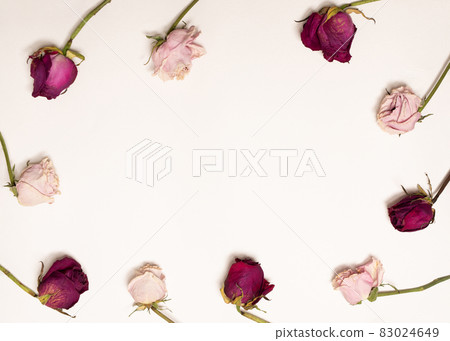 tenderness image of dry, pink and red roses on white background. tenderness image of dry, pink and red roses on white background. 83024649