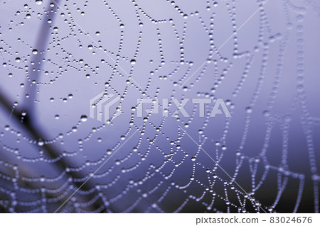 Cobwebs with raindrops, natural mystical pattern in blue midnight light background. Cobwebs with raindrops, natural mystical pattern in blue midnight light background. 83024676
