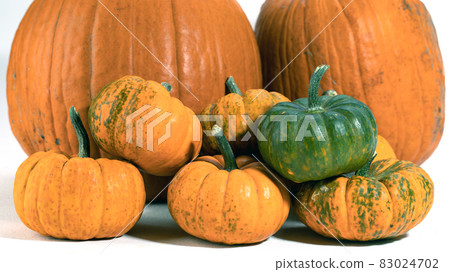 big and small orange pumpkins on white background. Decoration for Halloween party. 83024702