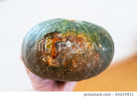 南瓜模具 83024931