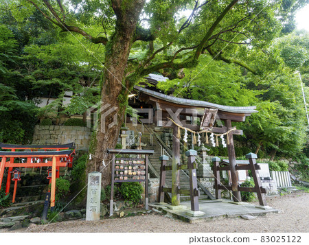 Nudehiko Nudehime Shrine in Kashiwara City Nudehiko Nudehime Shrine in Kashiwara City 83025122