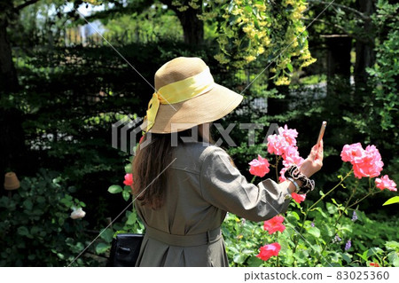 English Garden 34 (Maibara City, Shiga Prefecture: Rosa & Berry Tawada) English Garden 34 (Maibara City, Shiga Prefecture: Rosa & Berry Tawada) 83025360