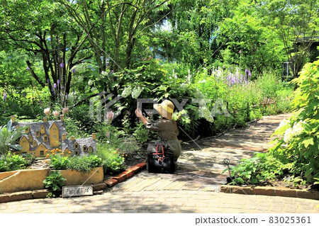 English Garden 35 (Maibara City, Shiga Prefecture: Rosa & Berry Tawada) 83025361