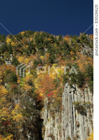 Autumn leaves of Tianjin 83026620