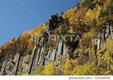 Autumn leaves of Tianjin 83026640