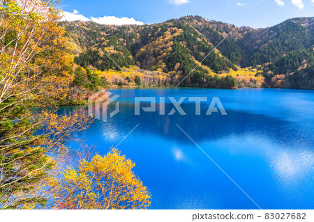 《長野縣》大沼池/滋賀高原 83027682