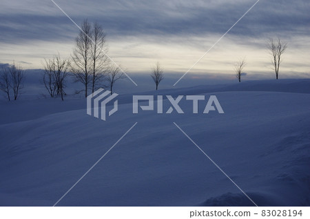 Landscape of the winter wilderness near Niseko, Hokkaido Landscape of the winter wilderness near Niseko, Hokkaido 83028194